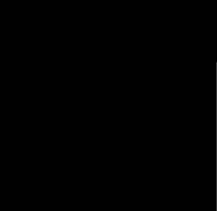 167.jpg
