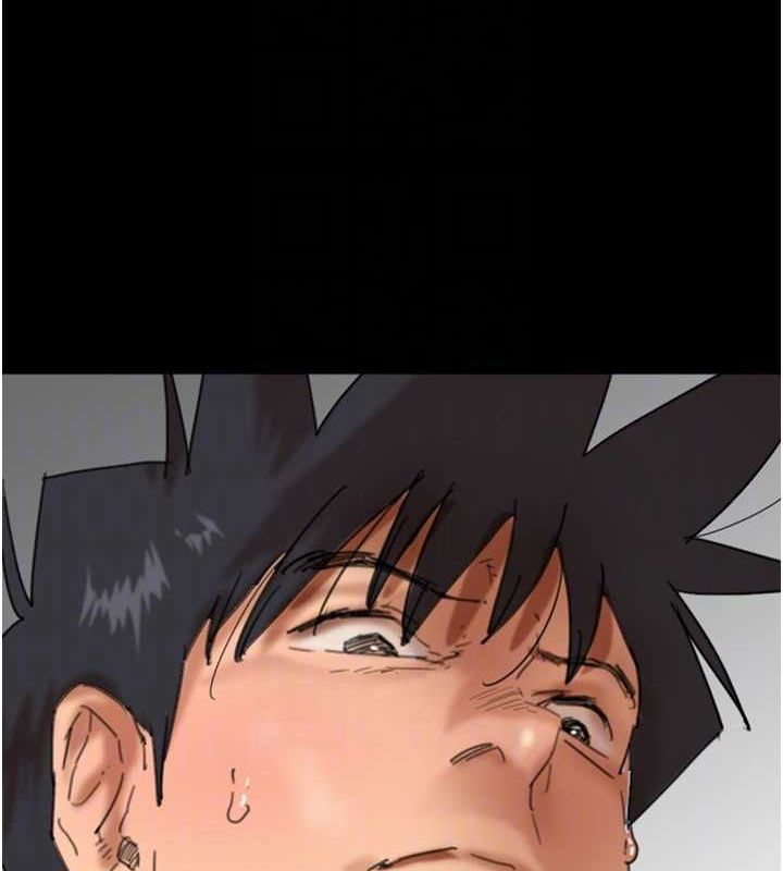 113.jpg