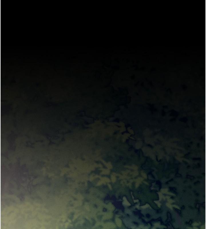 66.jpg