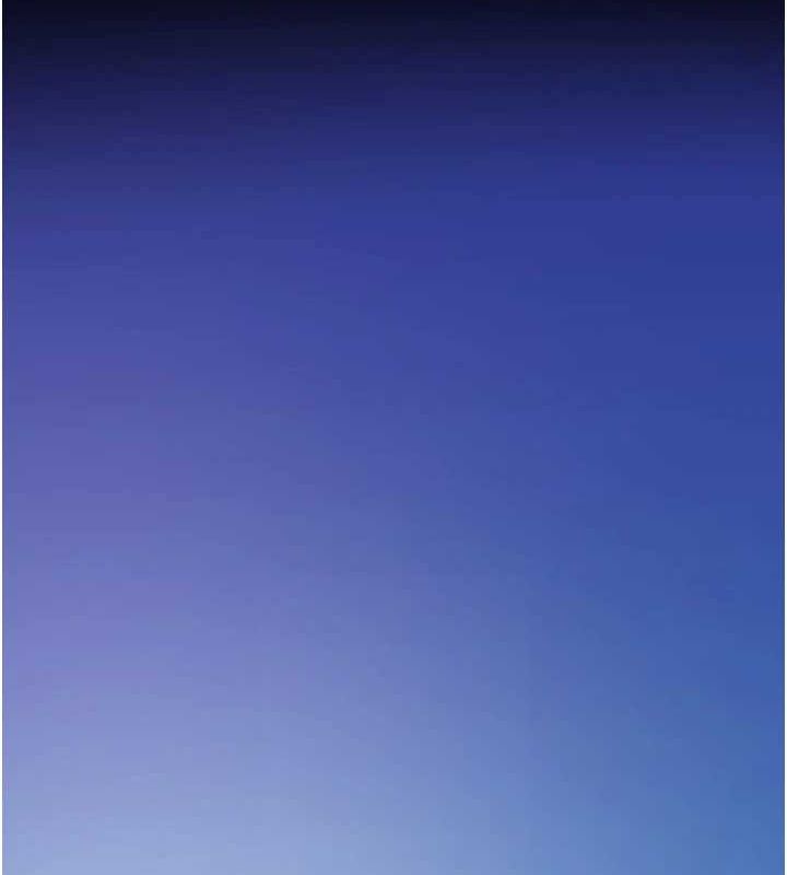 175.jpg