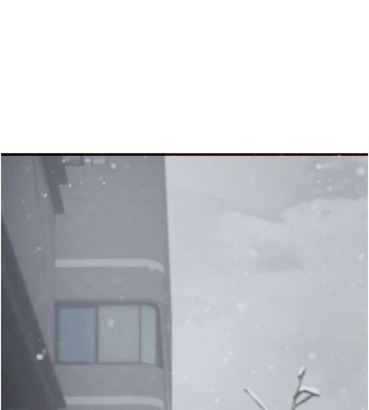 253.jpg